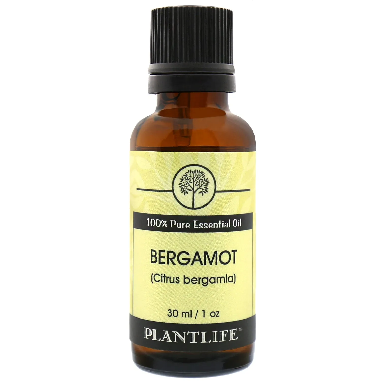 Bergamot Essential Oil