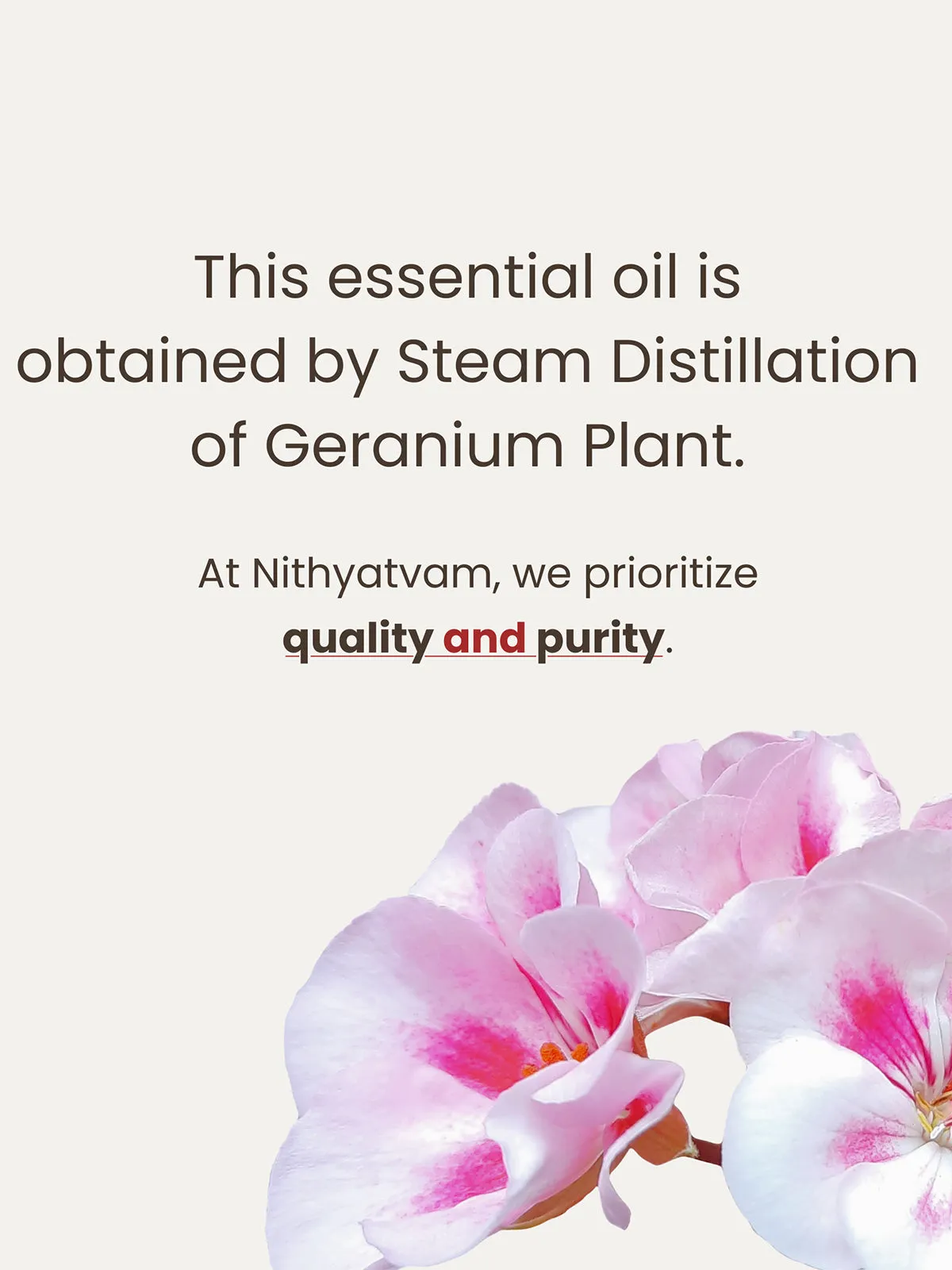 Geranium Essential Oil