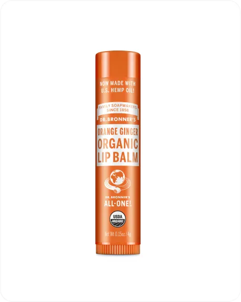 Orange Ginger Organic Lip Balms (12 Pack)